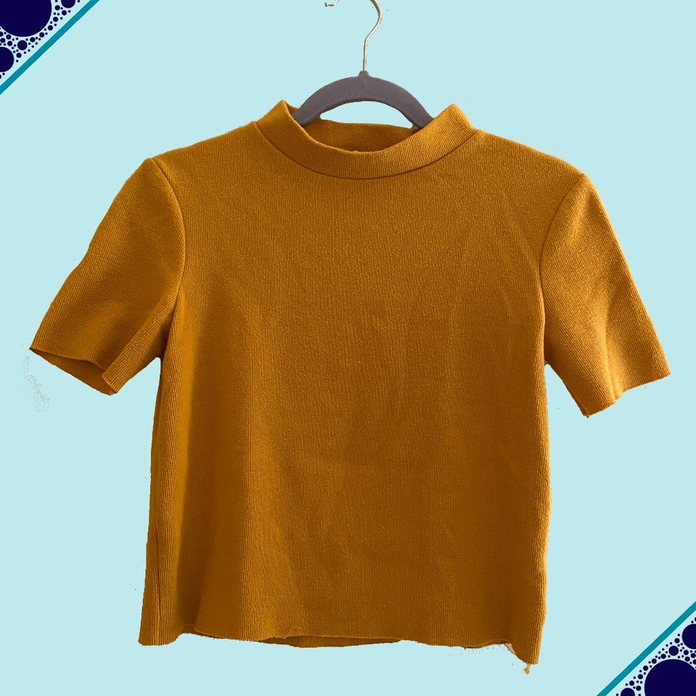 Mustard Short Sleeve Turtleneck | Zara